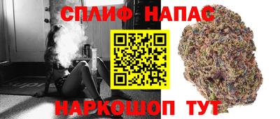 сатива Волгодонск