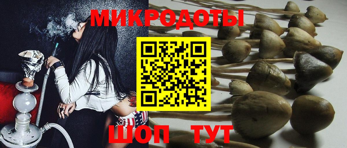 Новороссийск  Галлюциногенные грибы Psilocybine cubensis  Вход с VPN 