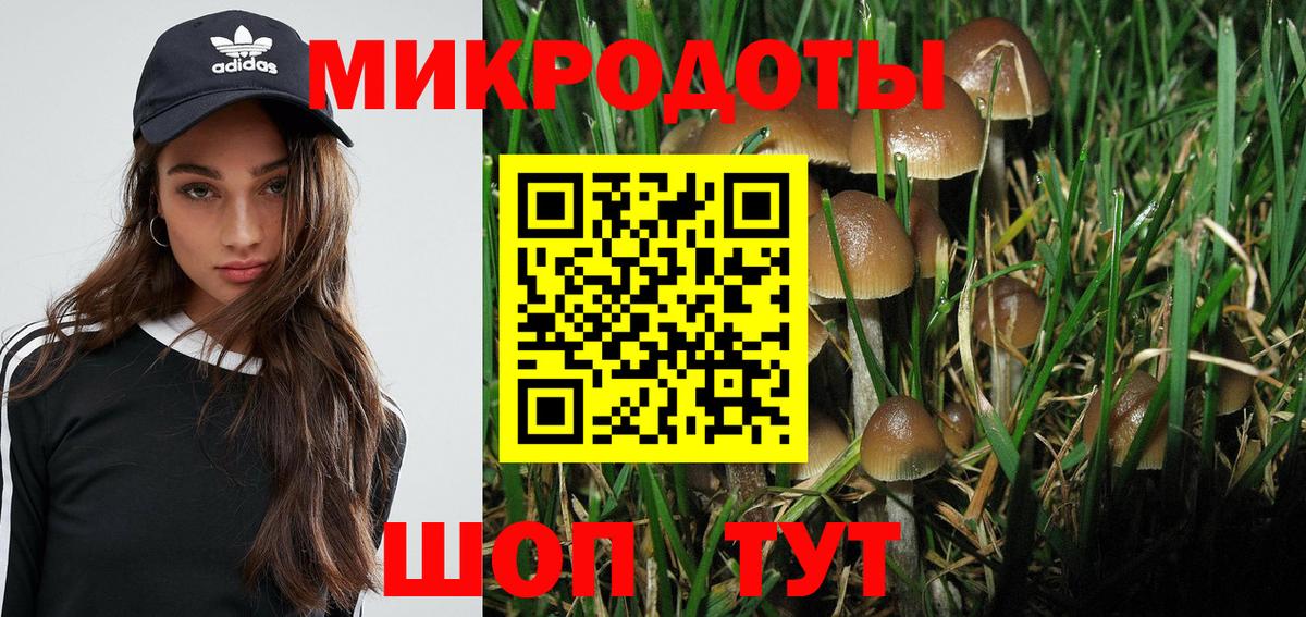 Псилоцибиновые грибы мицелий Новороссийск