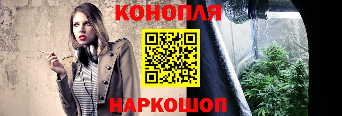 Канабис OG Kush Новороссийск